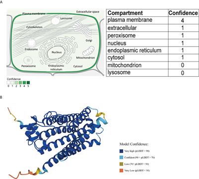 Expression and prognosis analysis of PAQR5 in kidney cancer